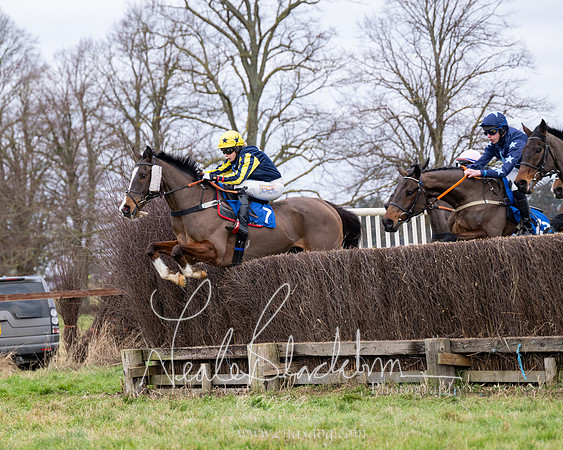 The Veteran horse conditions race (28 of 161)