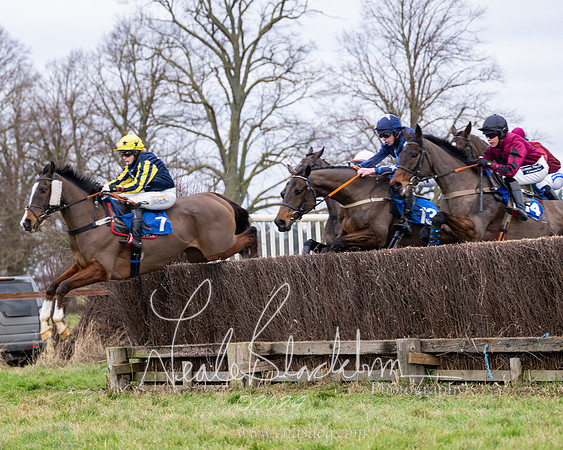 The Veteran horse conditions race (30 of 161)