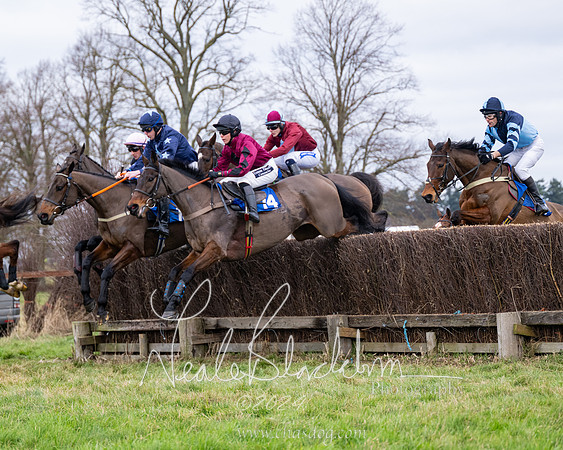 The Veteran horse conditions race (33 of 161)