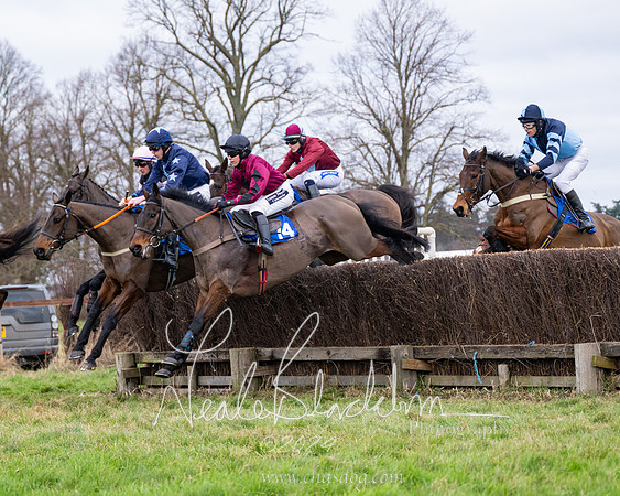 The Veteran horse conditions race (34 of 161)