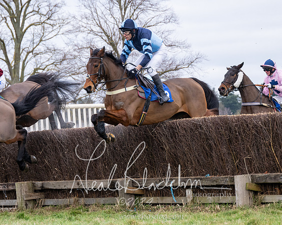 The Veteran horse conditions race (37 of 161)