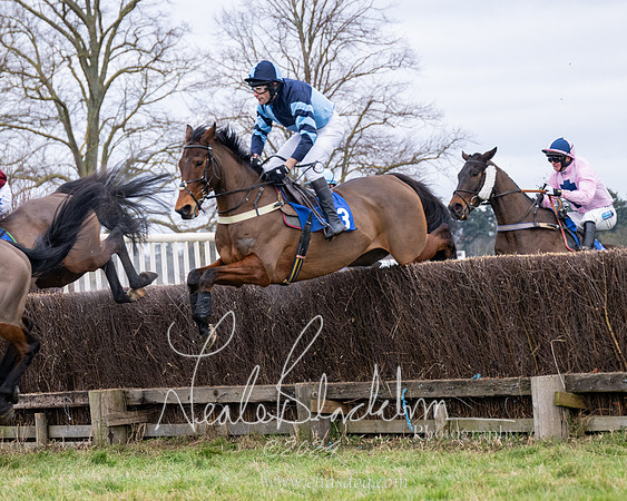 The Veteran horse conditions race (38 of 161)