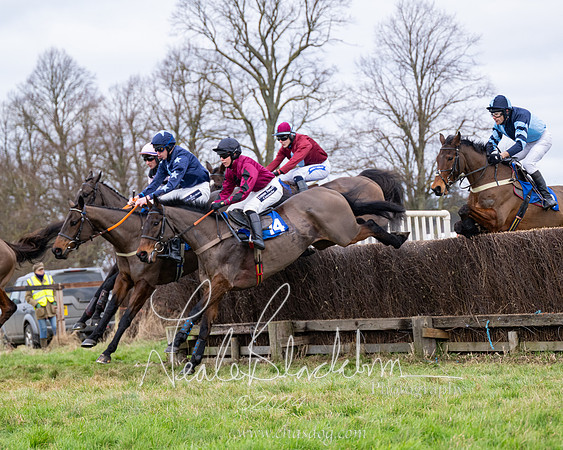 The Veteran horse conditions race (35 of 161)