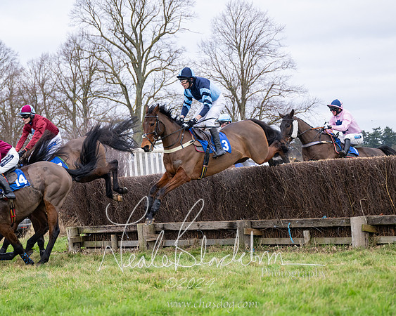 The Veteran horse conditions race (39 of 161)