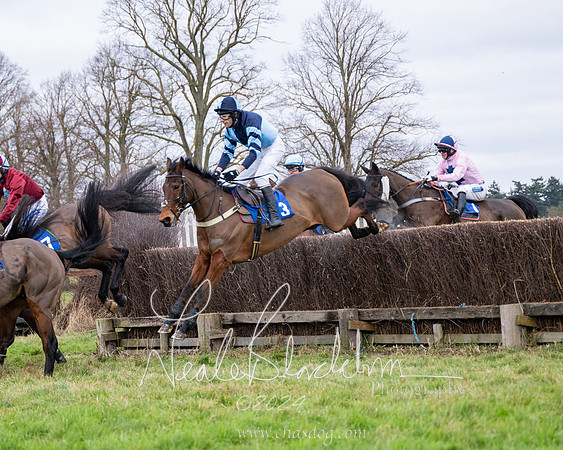 The Veteran horse conditions race (40 of 161)