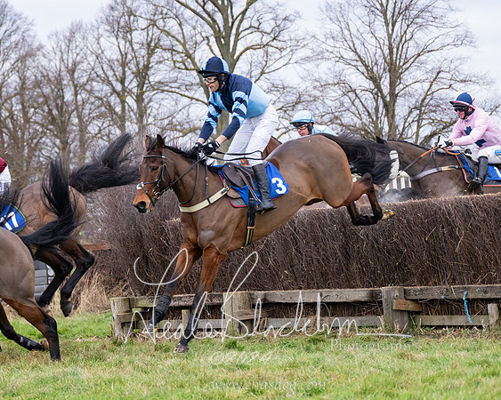 The Veteran horse conditions race (41 of 161)