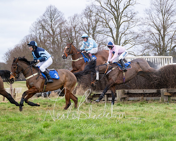 The Veteran horse conditions race (45 of 161)