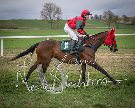 Race 6 - The Restricted Race (15 of 101)