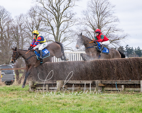 The Veteran horse conditions race (57 of 161)