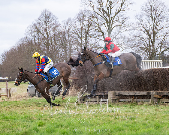 The Veteran horse conditions race (60 of 161)
