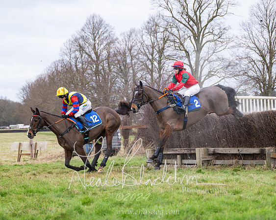 The Veteran horse conditions race (61 of 161)