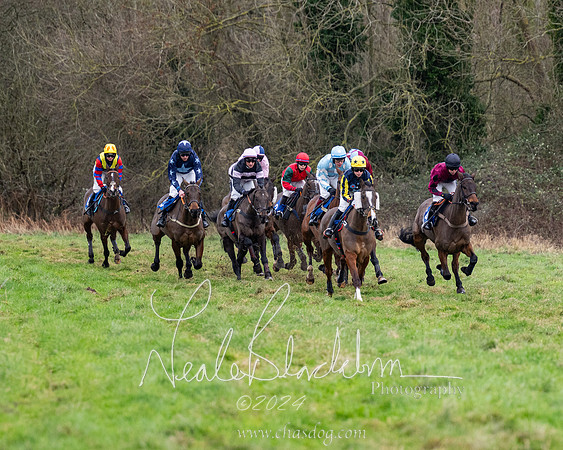 The Veteran horse conditions race (68 of 161)