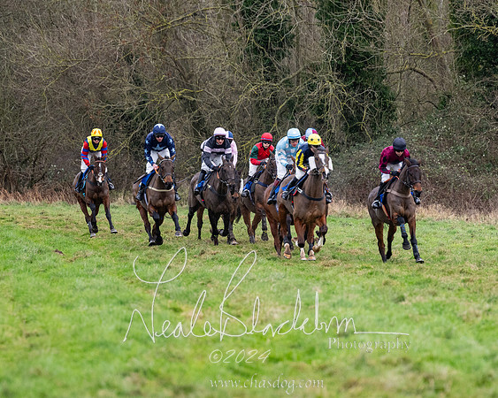 The Veteran horse conditions race (72 of 161)