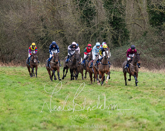 The Veteran horse conditions race (73 of 161)