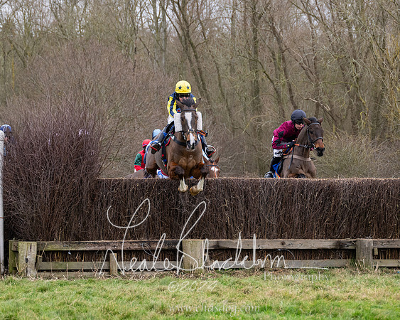 The Veteran horse conditions race (80 of 161)