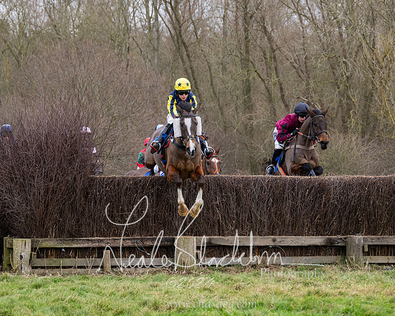 The Veteran horse conditions race (81 of 161)
