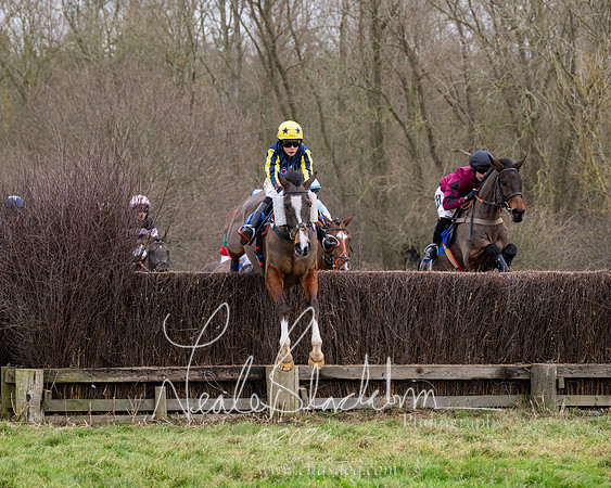 The Veteran horse conditions race (82 of 161)