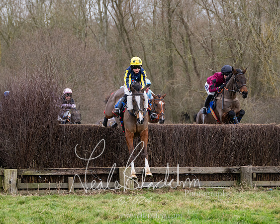 The Veteran horse conditions race (83 of 161)