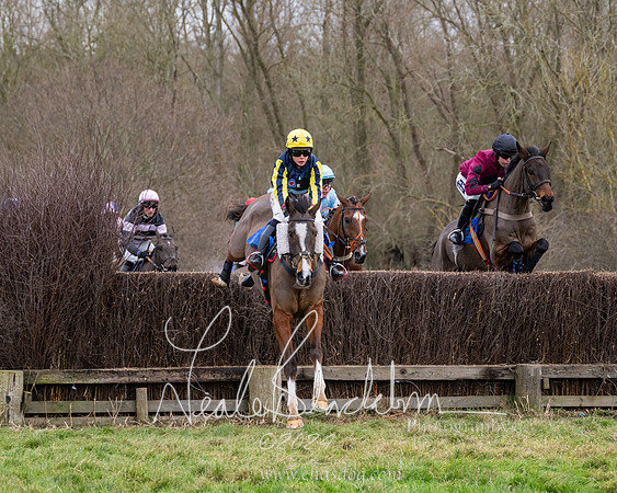 The Veteran horse conditions race (84 of 161)