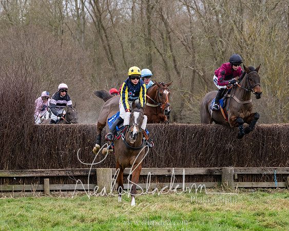 The Veteran horse conditions race (86 of 161)