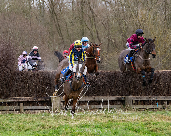 The Veteran horse conditions race (87 of 161)