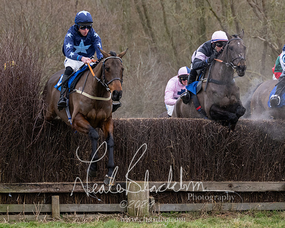 The Veteran horse conditions race (90 of 161)