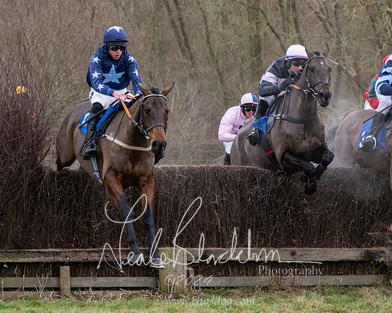 The Veteran horse conditions race (91 of 161)