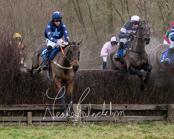 The Veteran horse conditions race (92 of 161)