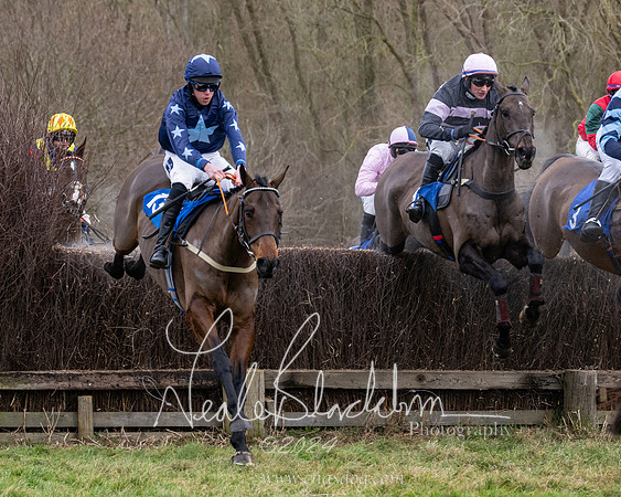 The Veteran horse conditions race (93 of 161)