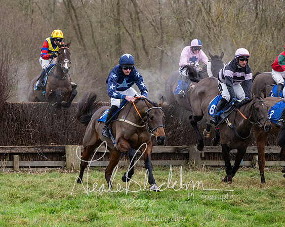 The Veteran horse conditions race (98 of 161)
