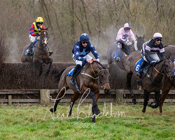 The Veteran horse conditions race (99 of 161)