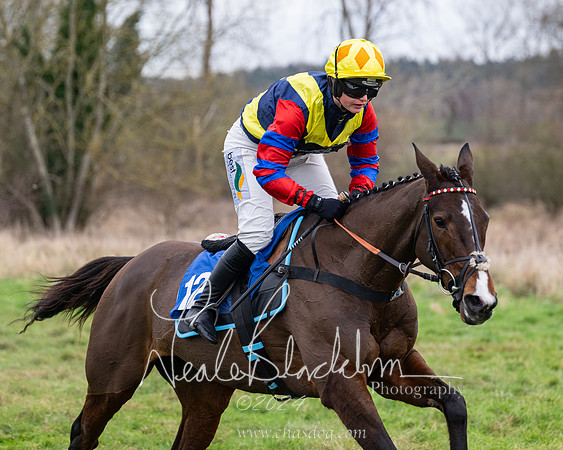 The Veteran horse conditions race (110 of 161)
