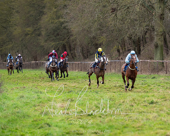 The Veteran horse conditions race (112 of 161)