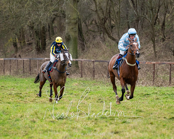 The Veteran horse conditions race (120 of 161)