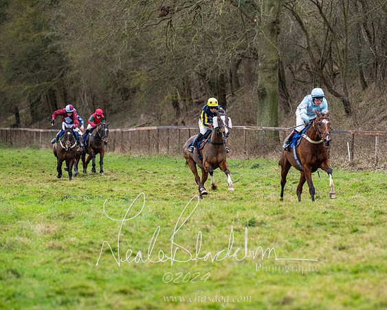 The Veteran horse conditions race (118 of 161)