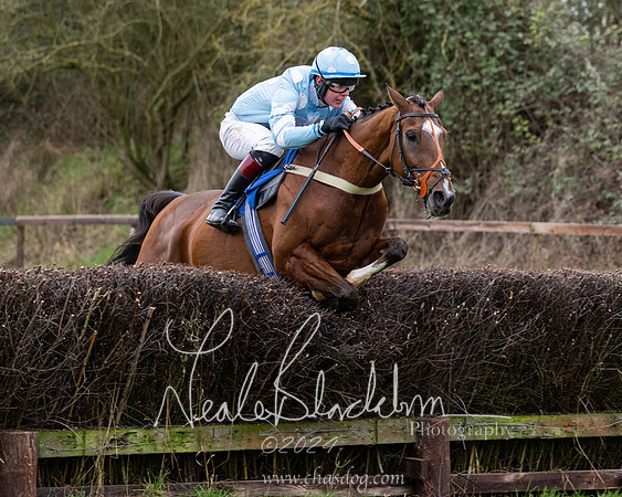 The Veteran horse conditions race (122 of 161)
