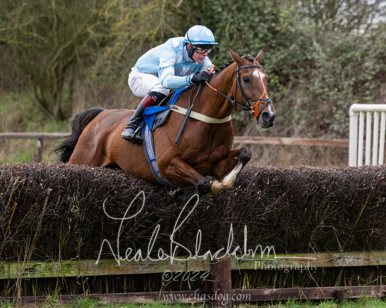 The Veteran horse conditions race (123 of 161)