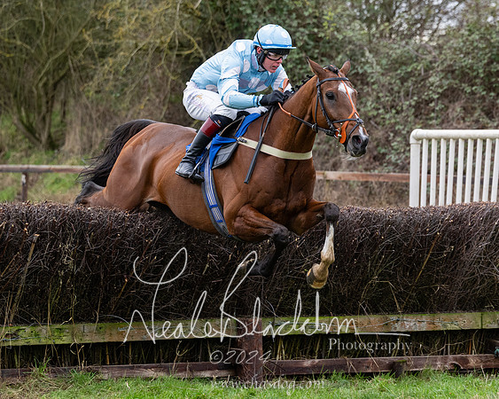 The Veteran horse conditions race (124 of 161)