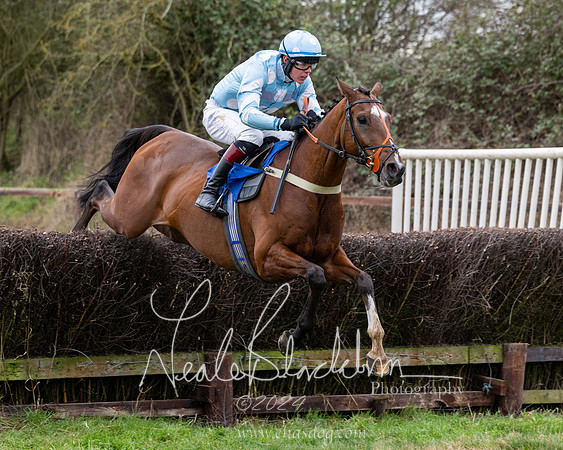 The Veteran horse conditions race (125 of 161)