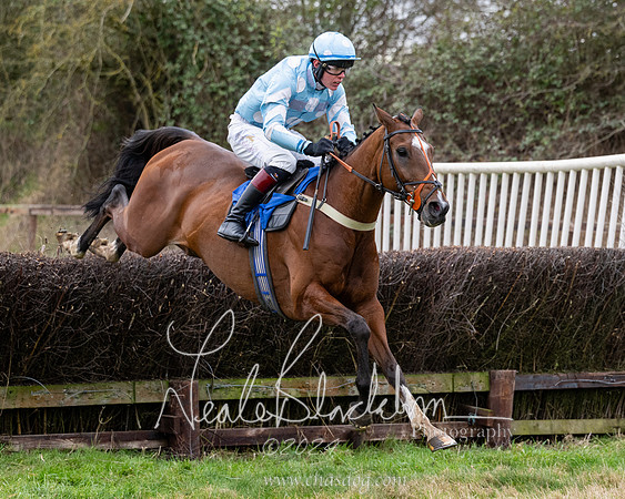 The Veteran horse conditions race (126 of 161)