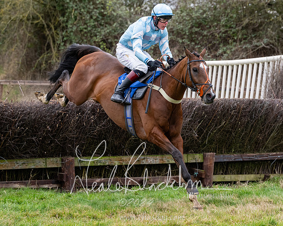 The Veteran horse conditions race (127 of 161)