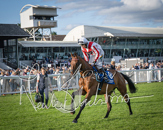 Race 4 - Peretemps Stratford Foxhunters (47 of 168)