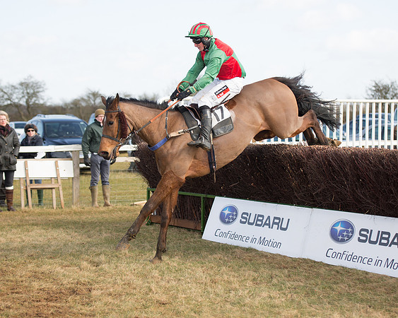 Race 1 - 4-5-6 Maiden (104 of 119).jpg
