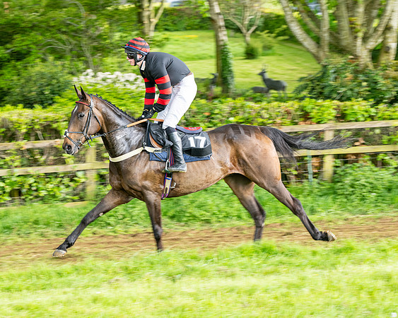 Race6 - Restricted Race (17 of 135)