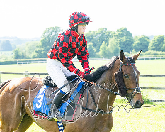 Race 5  - Maiden race 2m5F Div-2 (111 of 205)