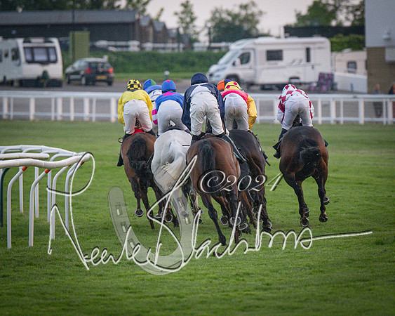 Race - 7 The Royal Gloucester Hussars Open Hunter's steeplechase 2m4f 127y (83 of 210)