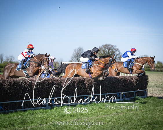 Race 6 - Veteran horse (58 of 109)