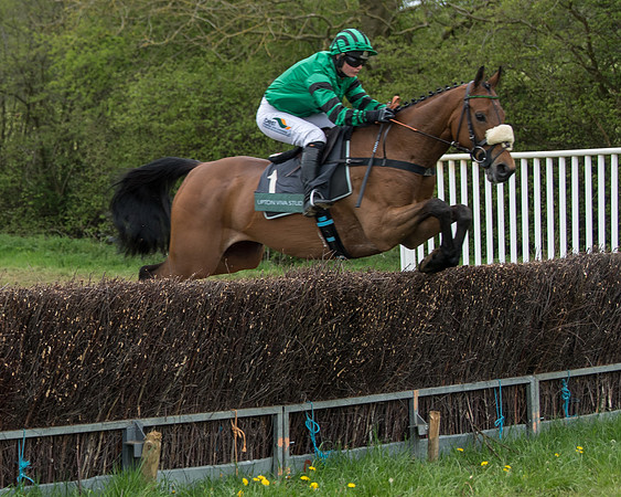 Race 3 - Warwickshire Hunt Members (12 of 65)