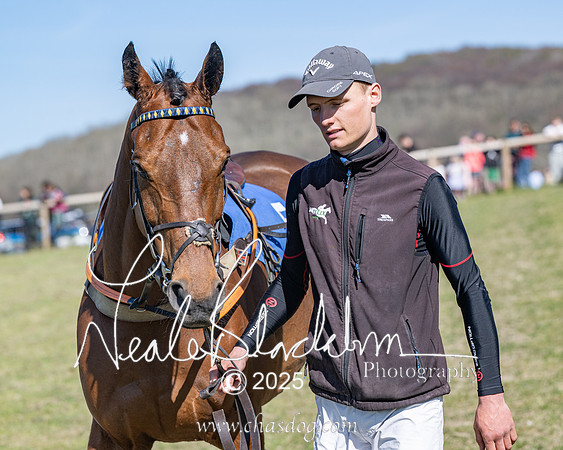 Race 5 - The restricted (17 of 113)