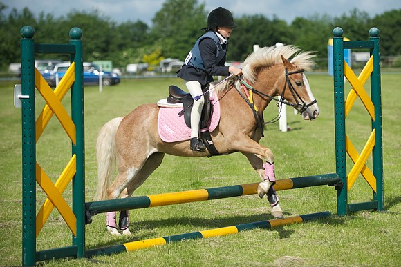 SOHS PC Summer Show at BCA 17th June 2012